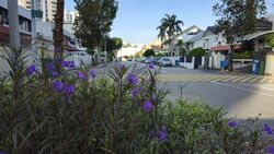 Peach Garden (D15), Semi-Detached #613325551